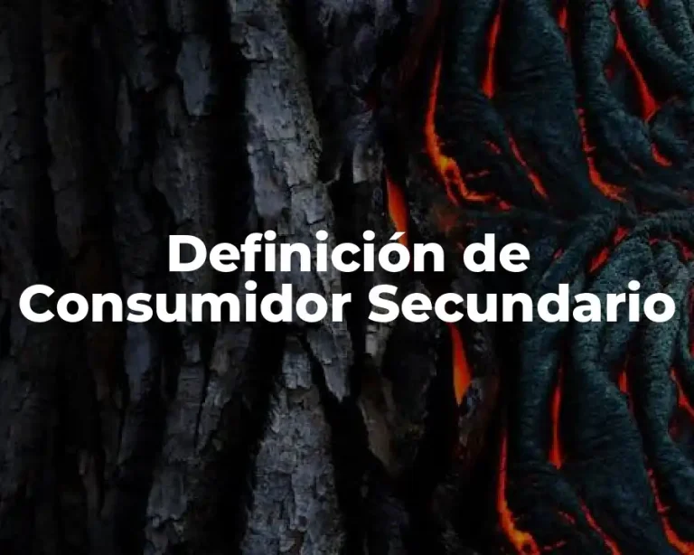 Definición de Consumidor Secundario
