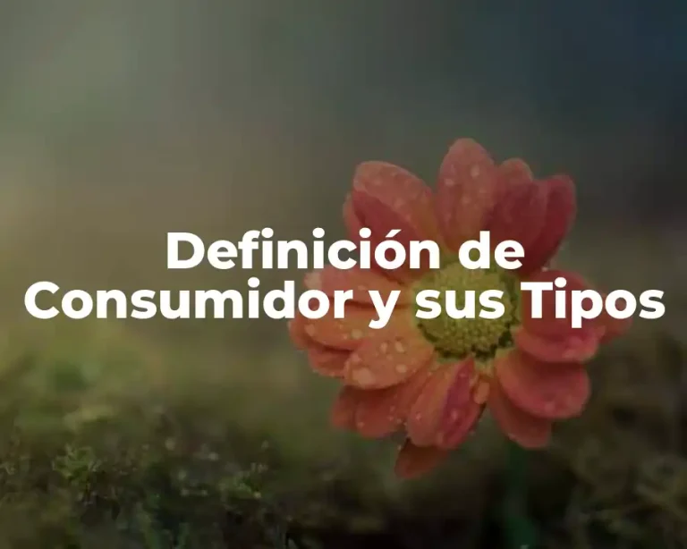 Definición de Consumidor y sus Tipos