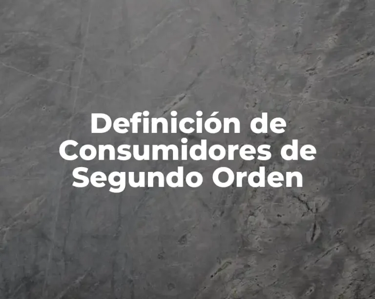 Definición de Consumidores de Segundo Orden