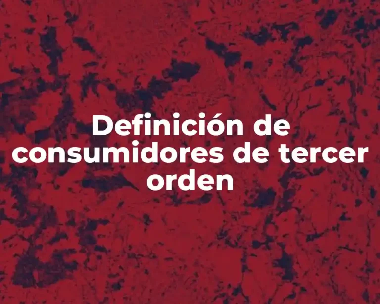 Definición de consumidores de tercer orden