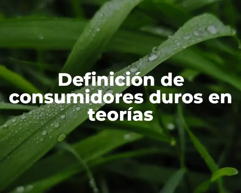 Definición de consumidores duros en teorías