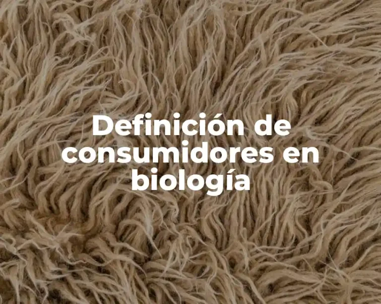 Definición de consumidores en biología