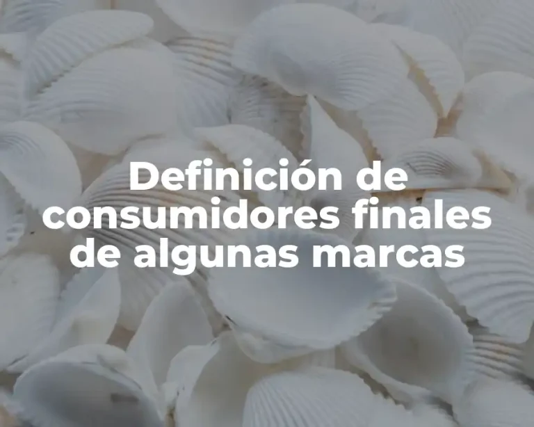 Definición de consumidores finales de algunas marcas