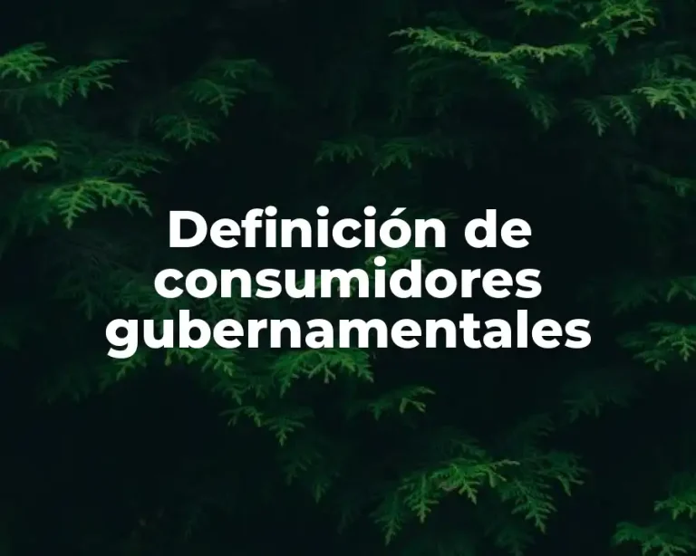 Definición de consumidores gubernamentales