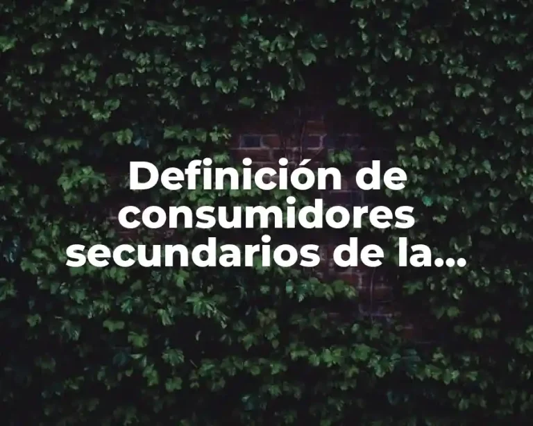 Definición de consumidores secundarios de la cadena alimenticia