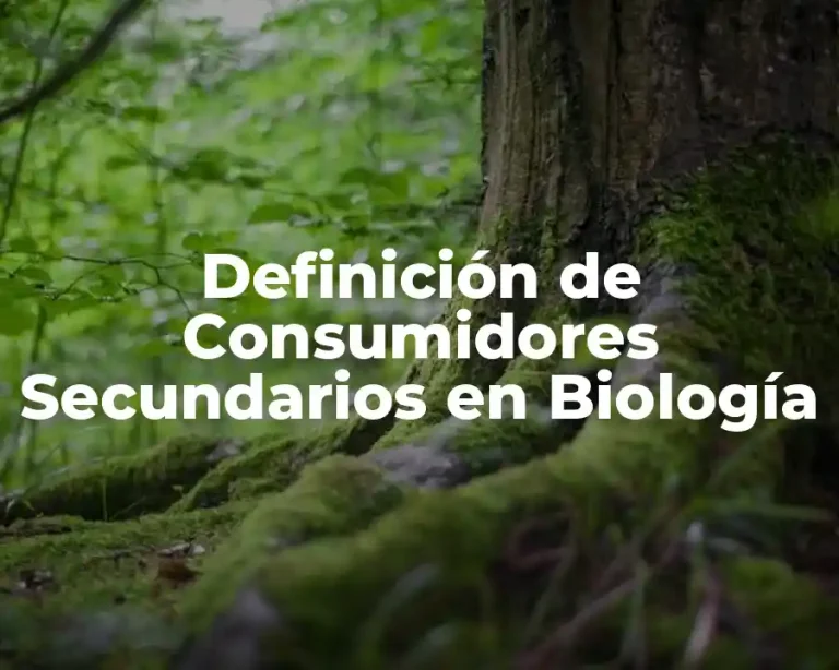 Definición de Consumidores Secundarios en Biología