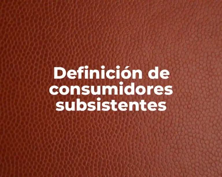 Definición de consumidores subsistentes