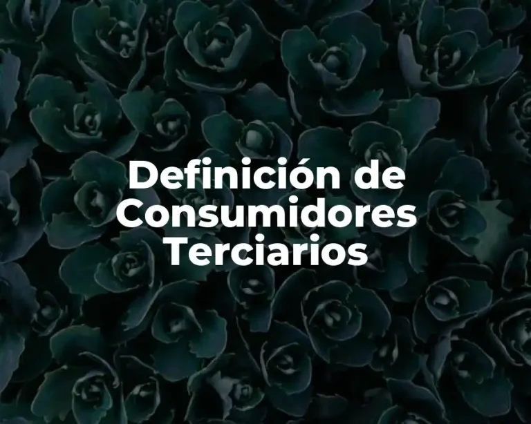 Definición de Consumidores Terciarios