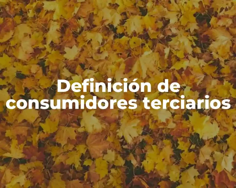 Definición de consumidores terciarios