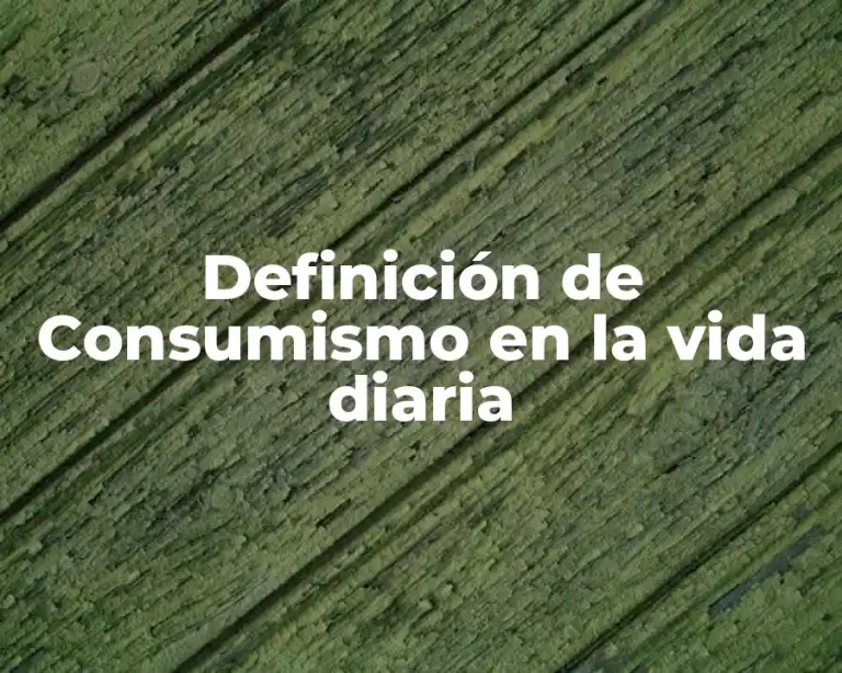 Definición de Consumismo en la vida diaria