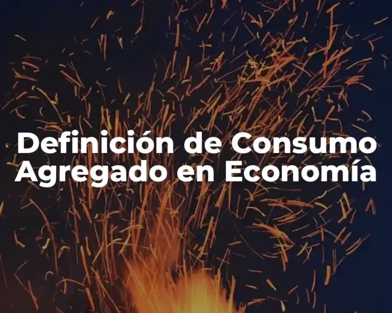 Definición de Consumo Agregado en Economía