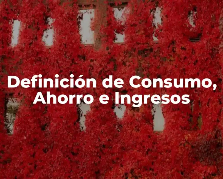 Definición de Consumo, Ahorro e Ingresos