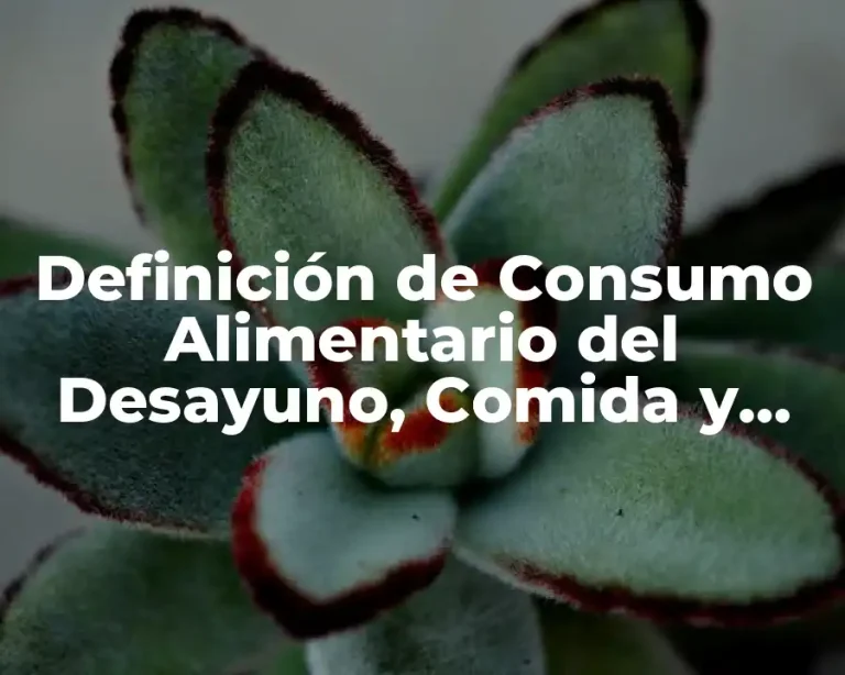 Definición de Consumo Alimentario del Desayuno, Comida y Cena
