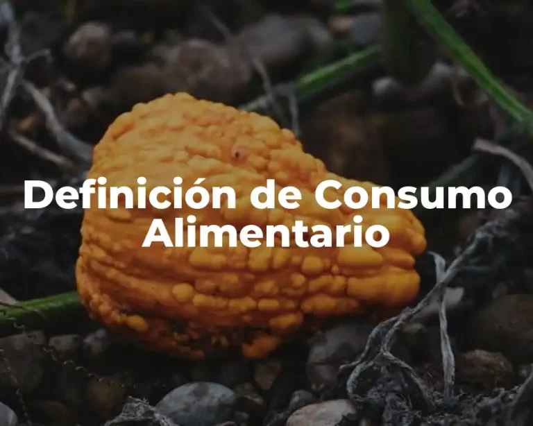 Definición de Consumo Alimentario