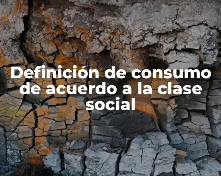 Definición de consumo de acuerdo a la clase social