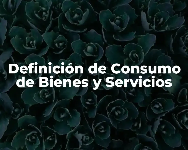 Definición de Consumo de Bienes y Servicios