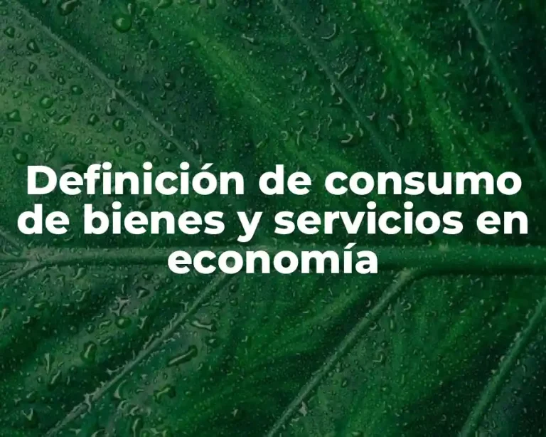 Definición de consumo de bienes y servicios en economía
