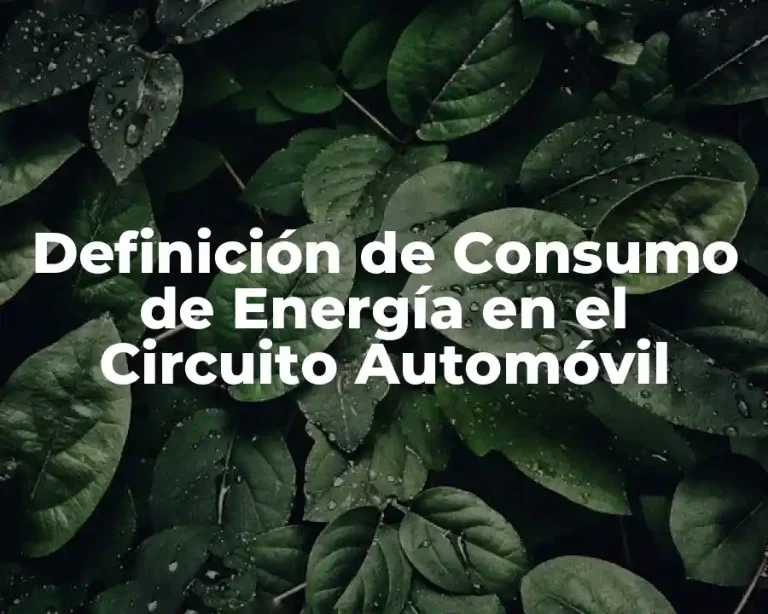 Definición de Consumo de Energía en el Circuito Automóvil