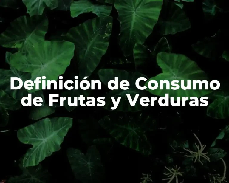 Definición de Consumo de Frutas y Verduras