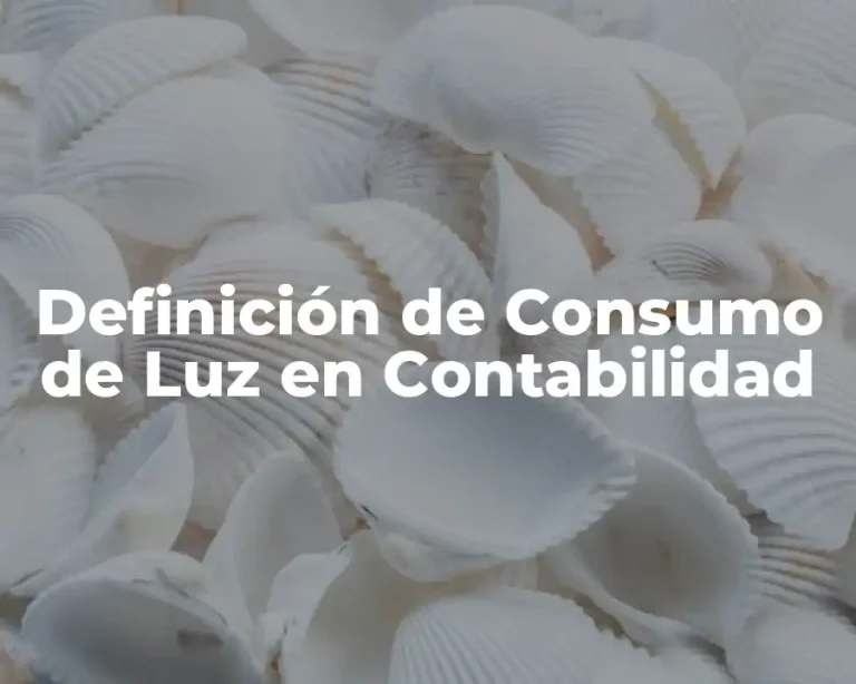 Definición de Consumo de Luz en Contabilidad