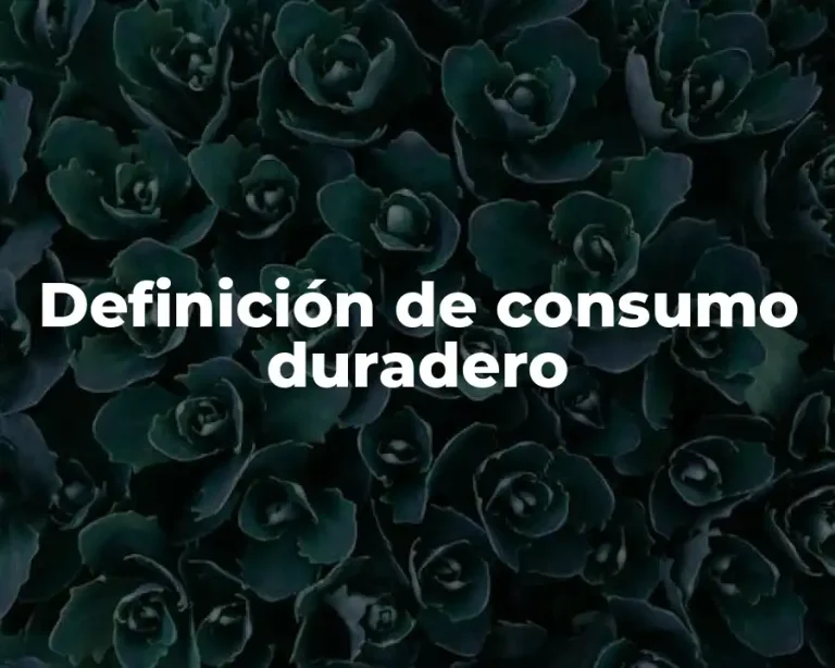 Definición de consumo duradero