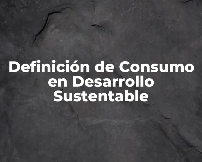 Definición de Consumo en Desarrollo Sustentable