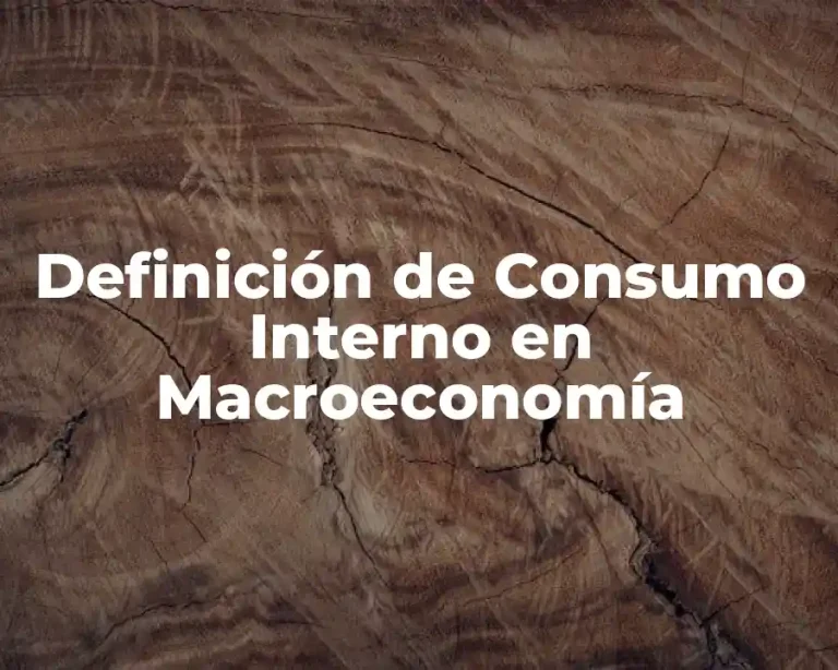 Definición de Consumo Interno en Macroeconomía