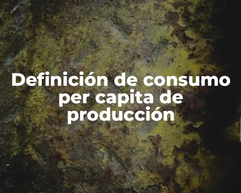 Definición de consumo per capita de producción