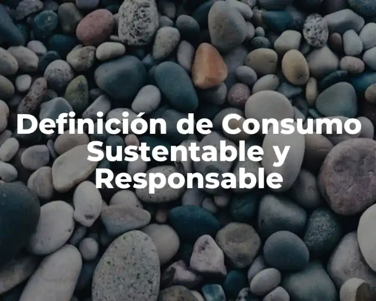 Definición de Consumo Sustentable y Responsable