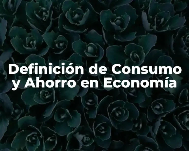 Definición de Consumo y Ahorro en Economía