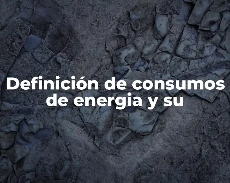 Definición de consumos de energia y su