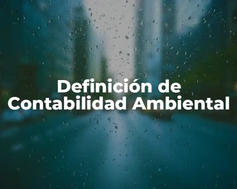 Definición de Contabilidad Ambiental