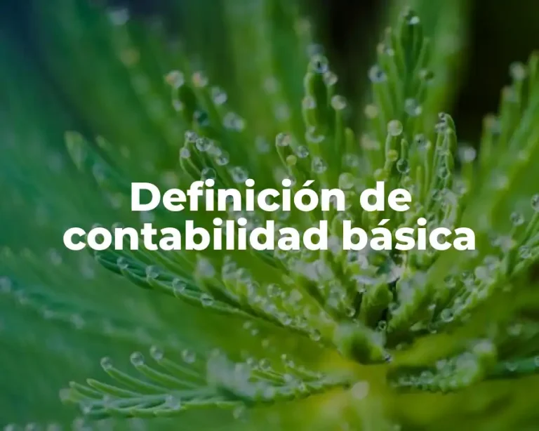 Definición de contabilidad básica