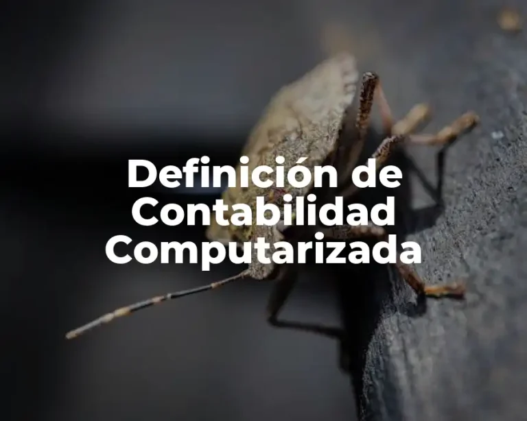 Definición de Contabilidad Computarizada