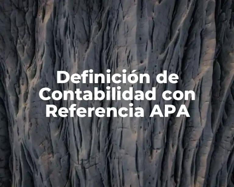 Definición de Contabilidad con Referencia APA