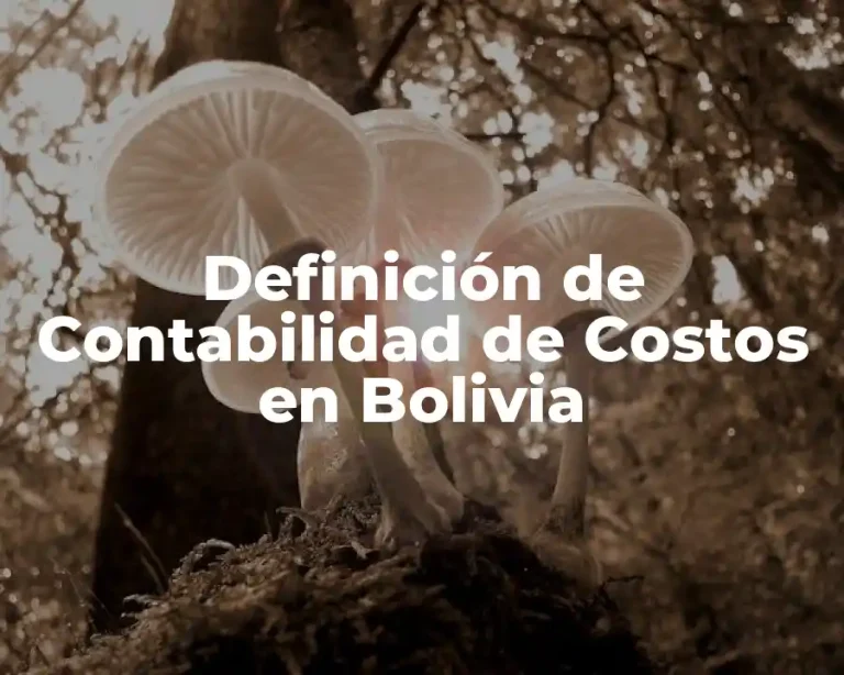 Definición de Contabilidad de Costos en Bolivia