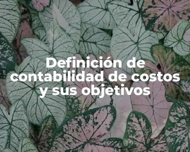 Definición de contabilidad de costos y sus objetivos