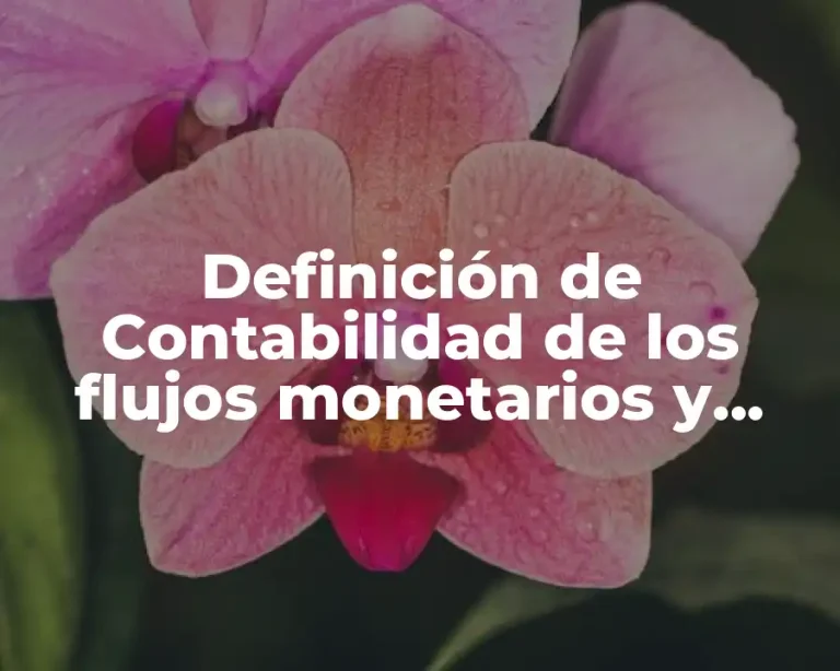 Definición de Contabilidad de los flujos monetarios y crediticios