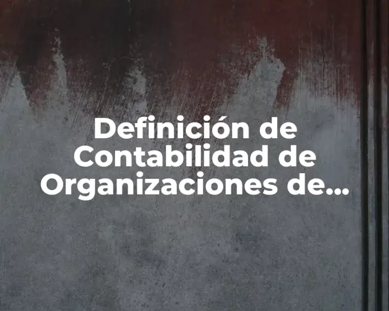 Definición de Contabilidad de Organizaciones de Servicio