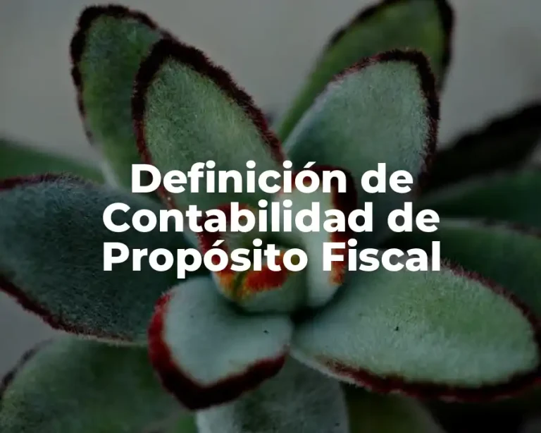 Definición de Contabilidad de Propósito Fiscal