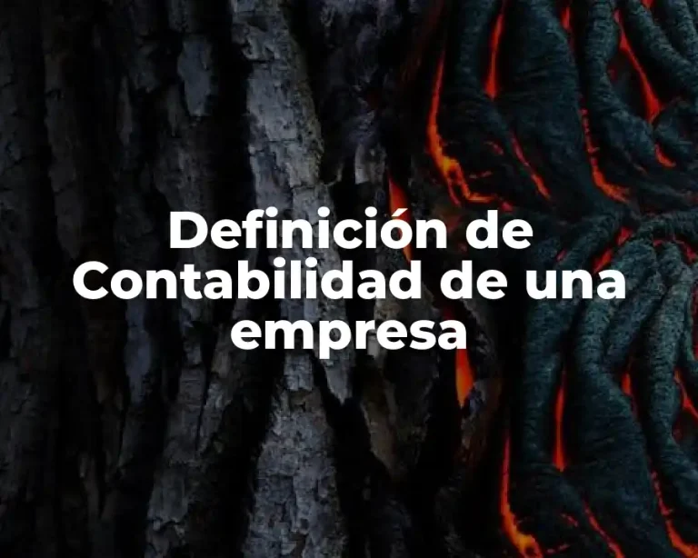 Definición de Contabilidad de una empresa