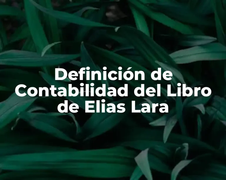 Definición de Contabilidad del Libro de Elias Lara