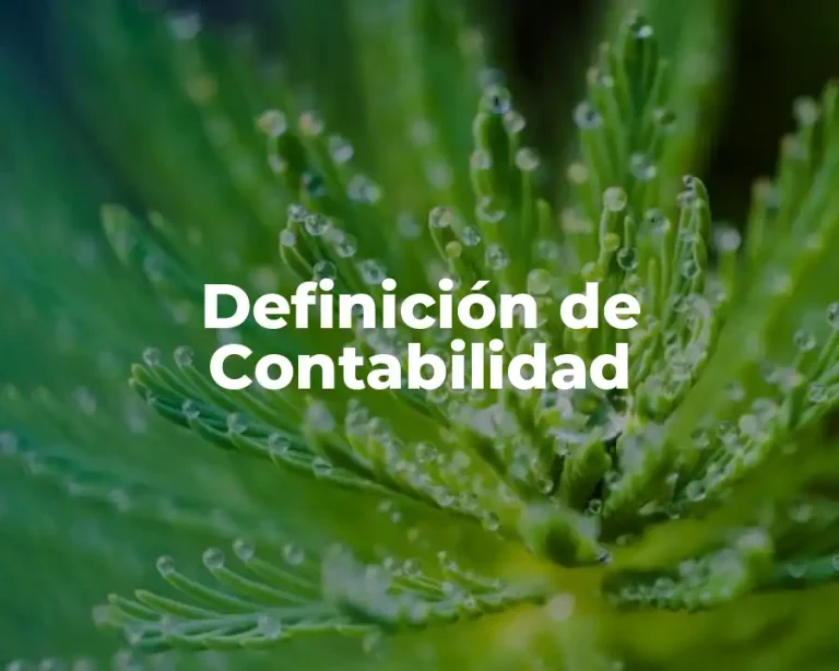 Definición de Contabilidad