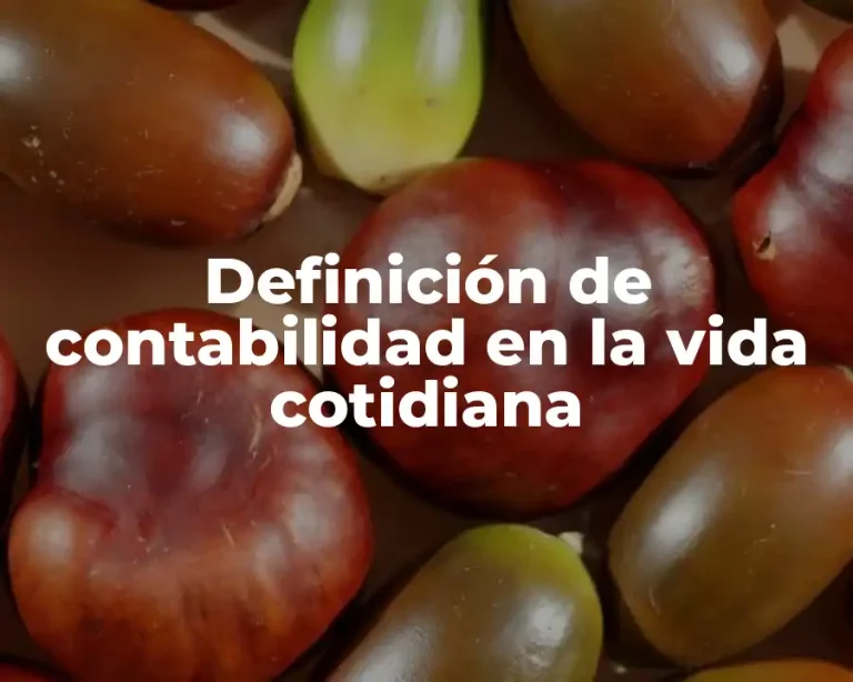 Definición de contabilidad en la vida cotidiana