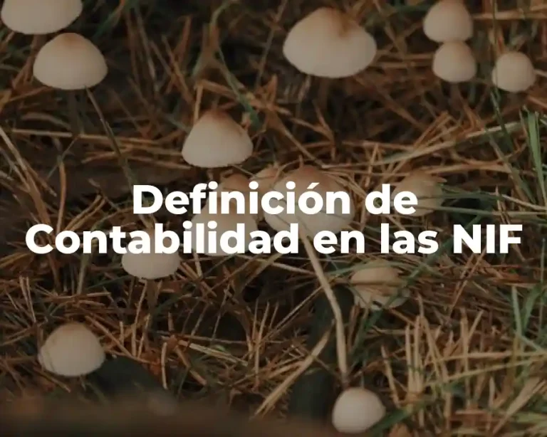 Definición de Contabilidad en las NIF