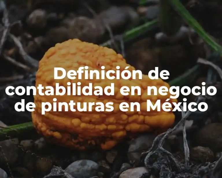 Definición de contabilidad en negocio de pinturas en México
