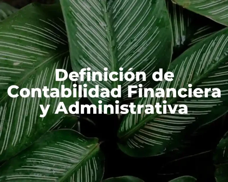 Definición de Contabilidad Financiera y Administrativa