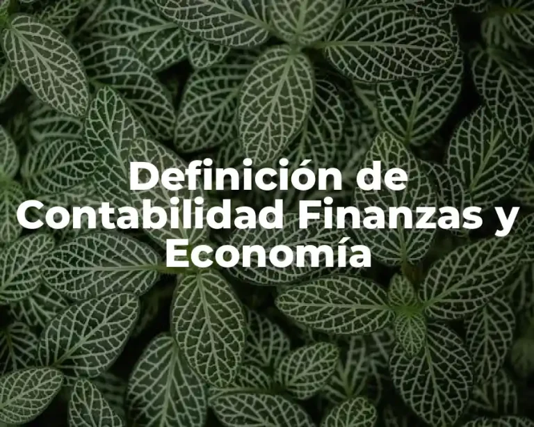 Definición de Contabilidad Finanzas y Economía