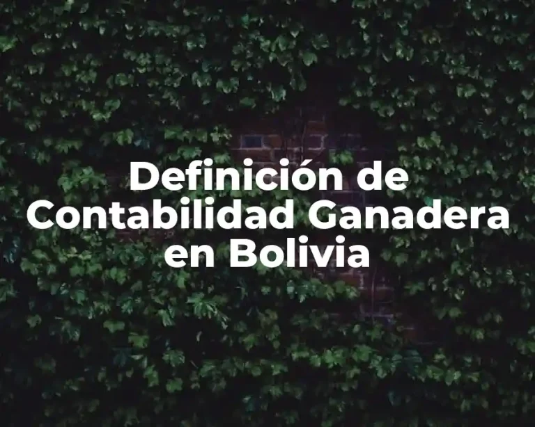 Definición de Contabilidad Ganadera en Bolivia