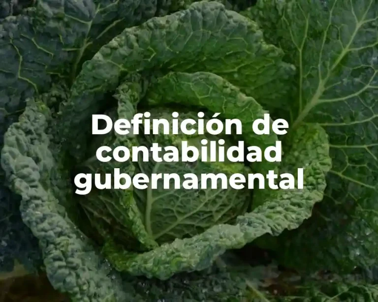 Definición de contabilidad gubernamental